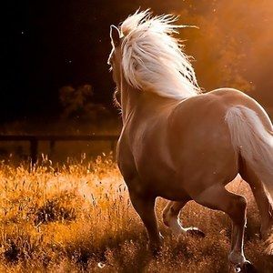 Meet your Posher, Kathleen